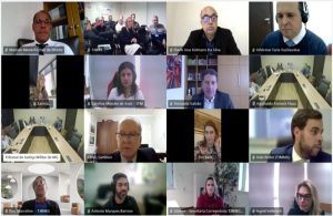 A imagem mostra parte da audiêcia pública virtual, com várias janelas de trabsmissão dos participantes
