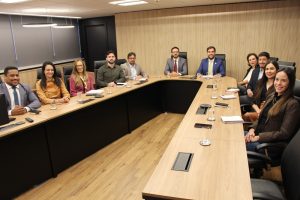 A imagem mostra 11 representantes de cinco tribunais sentados em uma mesa de reunião, entre homens e mulheres, que posam para a foto. Ao centro, de terno azul, está o juiz de Direito João Pedro Hoffert Monteiro de Lima