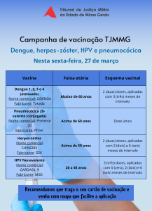 A imagem mostra o cartaz da campanha de vacinação. Nele está escrito: Tribunal de Justiça Militar do Estado de Minas Gerais. Campanha de vacinação TJMMG. Dengue, herpes-zóster, HPV e pneumocócica. Nesta sexta-feira, 27 de março. Vacina. Faixa etária. Esquema vacinal. Dengue 1, 2, 3 e 4 (atenuada). Nome comercial: QDENGA. Fabricante: Takeda. Abaixo de 60 anos. duas doses, aplicadas com três meses de intervalo. Pneumocócica 20-valente (conjugada). Nome comercial: Prevenar 20. Fabricante: Pfizer. Acima de 60 anos. Dose única. Herpes-zóster. Nome comercial: SHINGRIX. Fabricante: GSK. Acima de 50 anos. duas doses, aplicadas com dois a seis meses de intervalo. HPV Nonavalente. Nome comercial: GARDASIL 9. Fabricante: MSD. 20 a 45 anos três doses, aplicadas com zero, dois e seis meses de intervalo. Recomendamos que traga o seu cartão de vacinação e venha com roupa que facilite a aplicação. A imagem, com tons na cor azul, mostra um quadro com as informações das vacinas e, ao fundo, uma mão segurando uma seringa de vacinação.