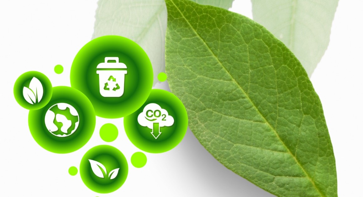 TJMMG promove “Encontro com a Sustentabilidade” nesta sexta-feira, 6